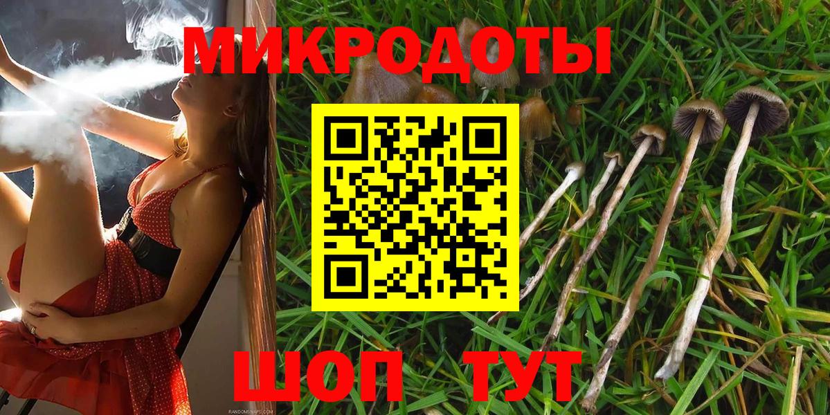 Псилоцибиновые грибы мицелий  Вход с VPN  Новый Уренгой  Галлюциногенные грибы Magic Shrooms 
