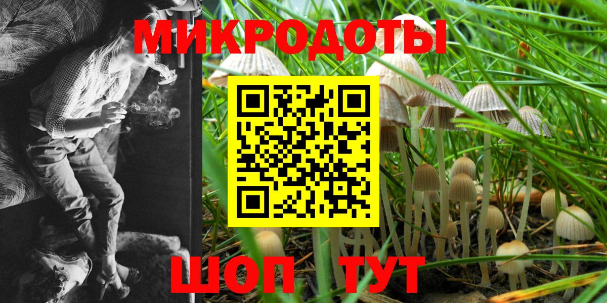Псилоцибиновые грибы Psilocybe Новый Уренгой